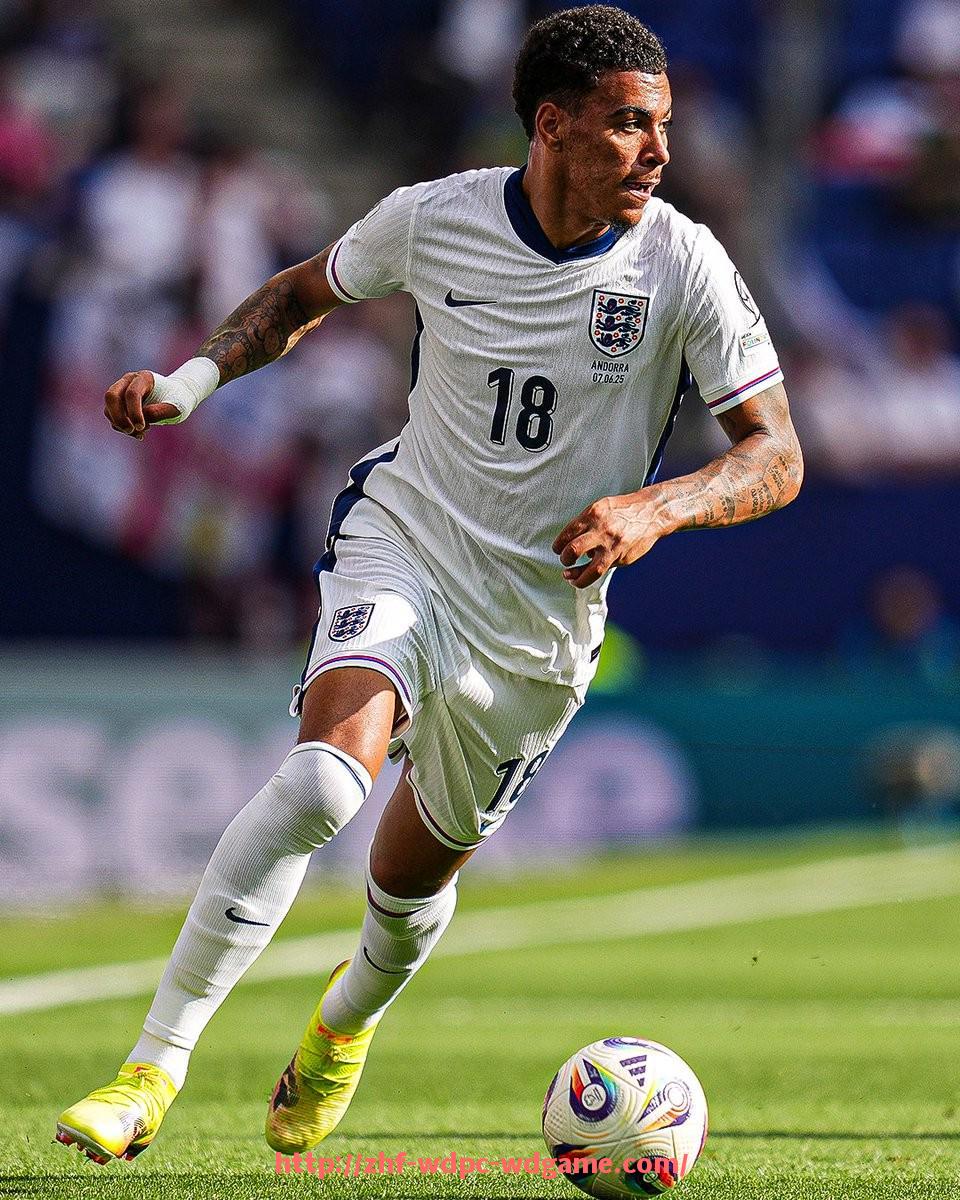 问鼎娱乐官方网站-火箭队中锋内内详细资料与生涯概况