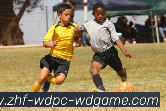 问鼎娱乐服务体系